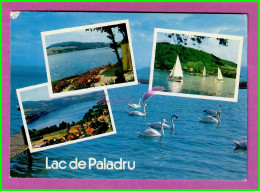 CPM PALADRU 38 - LE LAC DE PALADRU Plage Voilier Cygne Blanc Oiseau Bird - Paladru