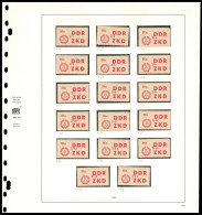 Neuf Sans Charnière N° 31/45. La Série Complète De 84 Valeurs, Michel 31/45. T.B. Rare. - Andere & Zonder Classificatie