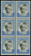 Neuf Sans Charnière N° 234/38, La Série Caritas 1931, Blocs De 6, TB - Other & Unclassified