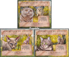 Guinea 9845-9847 (kompl. Ausgabe) Postfrisch 2013 Katzen (schottische Falte) - Guinée (1958-...)