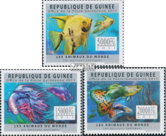 Guinea 8867-8869 (kompl. Ausgabe) Postfrisch 2011 Exotische Fische - Guinée (1958-...)