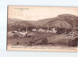 BLESLE GARE : Vue Générale Du Bas-Bory, Les Usines D'antimoine Et Les Orgues Basaltiques - Très Bon état - Blesle