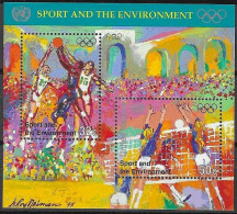 UNITED NATIONS # NEW YORK FROM 1996 STAMPWORLD 716-17** - Nuovi