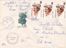 FOX  COVERS NICE FRANKING , 1995  ROMANIA - Lettres & Documents