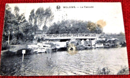 BRUXELLES  -  WOLUWE  -  La Cascade -  1926 - Bossen, Parken, Tuinen