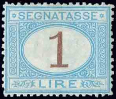 (*) 12 -- Timbres-Taxe. 1 Lire. TB. - Unclassified