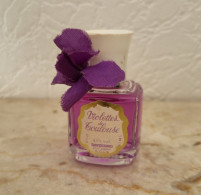 Miniature Berdoues Violettes De Toulouse - Mignon Di Profumo (senza Box)