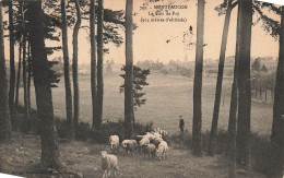 FRANCE - Montfaucon - Le Bois De Fay - Troupeau De Moutons - Carte Postale Ancienne - Other & Unclassified