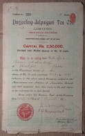 INDIA 1919 & 1942 DARJEELING - JALPAIGURI TEA COMPANY LIMITED, TEA ESTATE....2 DIFFERENT SHARE CERTIFICATES - Landbouw