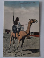 Aden, Somali Camel Rider, Somalischer Krieger, Jemen, 1920 - Jemen
