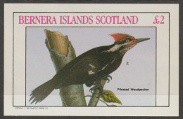 Bernera  Islands Scotland 1982  Nr. 1207  MNH  Woodpecker    - Emissione Locali