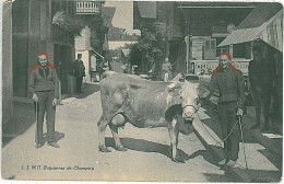 31274 - Vintage Postcard SWITZERLAND Ansichtskarten SCHWEIZ - Champéry, Valais 1914 - ETHNIC - Champéry