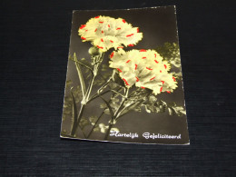 68663-         HARTELIJK GEFELICITEERD - BLOEMEN / FLOWERS / BLUMEN / FLEURS / FIORI / FLORES - OLD CARD - 1958 - Fleurs