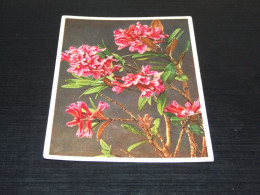 68675-           BLOEMEN / FLOWERS / BLUMEN / FLEURS / FIORI / FLORES - OLD CARD - 1938 - Fleurs