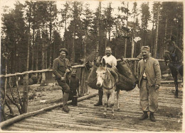 Ww1 Guerre 14/18 War * Sur Le Front D'alsace , Transport De L'eau Aux 1ère Lignes * âne Donkey * Photo Ancienne 18x13cm - Weltkrieg 1914-18