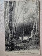 Charolles , Fontaine Au Tir à L'oiseau - Charolles