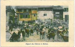 31331 - Vintage Postcard SWITZERLAND Ansichtskarten SCHWEIZ - Salvan  Saint-Maurice, Valais - 1914 - Saint-Maurice