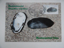 CARTE MAXIMUM CARD MAXIMUMKARTE MOULE FLUSSPERMUSCHEL OSI REGNIZLOSAU ALLEMAGNE - 2001-…