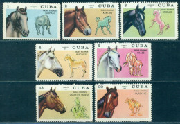 Delcampe - 1972 Horse Breeds,Tarpan,Criollo,Arabian,Quarter,Andalusian,CUBA,1782,MNH - Pferde