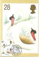 Great Britain - Maximum Card  - Mute Swan  -  Cygnus Olor	 (swans In Love Breeding On Nest With Chick) - Cisnes