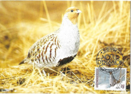 Luxembourg - Maximum Card 1994 :  Grey Partridge  -  Perdix Perdix - Hühnervögel & Fasanen