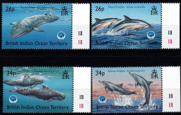 1998 Trritorio Britannico Oceano Indiano, Baleines Balene Delfini , Serie Completa Nuova (**) - Territorio Britannico Dell'Oceano Indiano