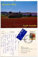 Australia 1990 Postcard Barossa Valley - Haystack; 80c. Brush-tailed Rock-wallaby Stamp; Saddleworth Postmark - Barossa Valley