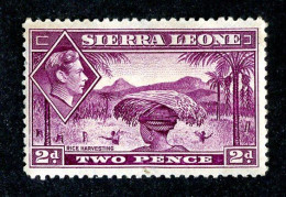 8203 BCXX 1941 Sierra Leone Scott # 176 MLH* Cv$24 - Sierra Leone (...-1960)