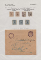 Deutsches Reich - Privatpost (Stadtpost): 1893/98, ALTENBURG/Courier , Saubere K - Private & Lokale Post