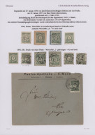 Deutsches Reich - Privatpost (Stadtpost): 1896/97, DESSAU/Courier, Saubere Samml - Private & Local Mails