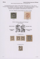 Deutsches Reich - Privatpost (Stadtpost): 1895/1896, DÜREN/Merkur, Kleine Sammlu - Correos Privados & Locales