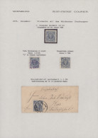 Deutsches Reich - Privatpost (Stadtpost): 1895/96, NÜRNBERG/Courier/Nbg.-Fü.-Pac - Privatpost