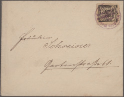 Deutsches Reich - Privatpost (Stadtpost): 1893, PLAUEN, Briefbeförderung, 2 Pf. - Private & Local Mails