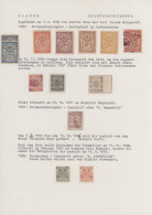 Deutsches Reich - Privatpost (Stadtpost): 1890/1894, PLAUEN/Briefbeförderung/Sta - Private & Lokale Post