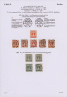 Deutsches Reich - Privatpost (Stadtpost): 1897/99, TRIER/Merkur, Saubere Kleine - Private & Lokale Post