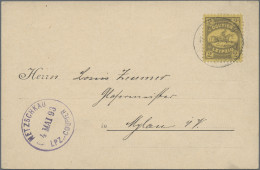 Deutsches Reich - Privatpost (Stadtpost): 1893, ZWICKAU, Auswärtiger Verkehr Des - Correos Privados & Locales