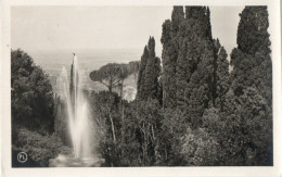 TIVOLI - VILLA D ESTE - FONTANA DEL BICCHIERONE E CIPRESSI - F.P. - Tivoli