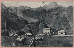 Cartolina Alti Pascoli Sul Piano Della Mussa Con Vista Della Bessanese Viaggiata - Tarjetas Panorámicas