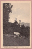 Cartolina Corio Canavese L' Antico Campanile - Non Viaggiata - Tarjetas Panorámicas