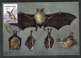 OCB Nr 2245 Fauna Vleermuis Chauve Souris Bat Fledermaus - Covers & Documents