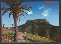 073269/ VALLEHERMOSO, Chipude, La Dehesa  - Gomera