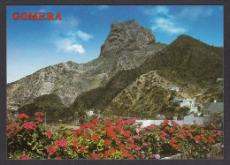 073271/ VALLEHERMOSO, Roque Cano  - Gomera