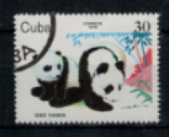 Cuba - "Animaux Du Parc Zoologique : Panda" - Oblitéré N° 2162 De 1979 - Used Stamps
