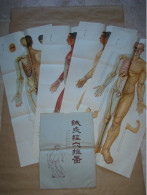 Pochette De 4 Planches Anatomiques Points Méridiens Acupuncture Corps Humain Médecine Chinoise - Chine (1963) - Materiaal En Toebehoren