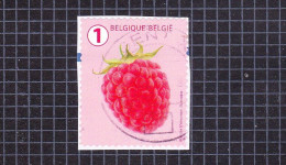 2018 Nr 4807 Gestempeld Op Fragment.Fruit (rolzegels) - Used Stamps