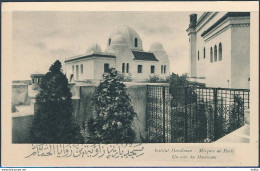 France / Institut Musulman, Mosquée De Paris, Un Coin Du Hammam - Unused - Islam