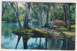 AK 198023 USA - Florida - Along Silver River In Famous Silver Springs - Silver Springs