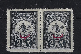 Turkey: Mi 153A Isf 248  SG 255 1908  Neuf Avec ( Ou Trace De) Charniere / MH/* Pinhole - Neufs