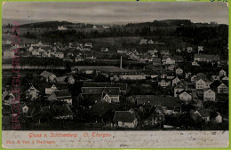 Ad5143 - SWITZERLAND Schweitz - Ansichtskarten VINTAGE POSTCARD - Thurgau - 1905 - Au