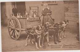 BRUXELLES  Laitière Flamande - Straßenhandel Und Kleingewerbe